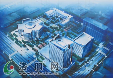 ��ꖺ������Ŀͷ����